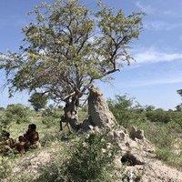 Sān Living Cultural Landscape