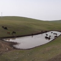 Hulun Buir Landscape & Birthplace of Ancient Minor
