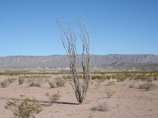 Photo in the Public Domain