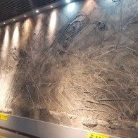 Guizhou Triassic Fossil Sites