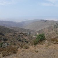 The Coastal Lomas System of Peru