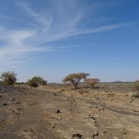 Al Hassania National Park