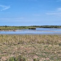 East Atlantic Flyway