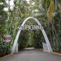 Tropicana 