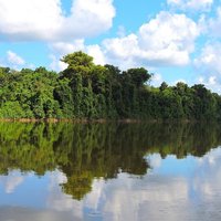 Central Suriname Nature Reserve