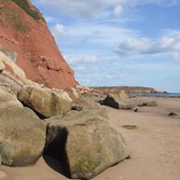 Dorset and East Devon Coast