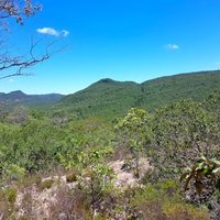 Cerrado Protected Areas