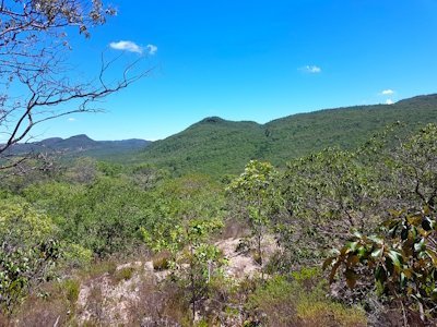 Cerrado Protected Areas by Wojciech Fedoruk