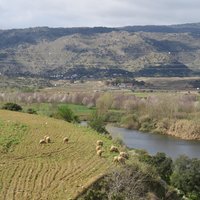 Alto Douro