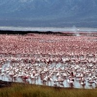 Kenya Lake System