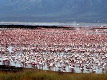 Kenya Lake System by Solivagant