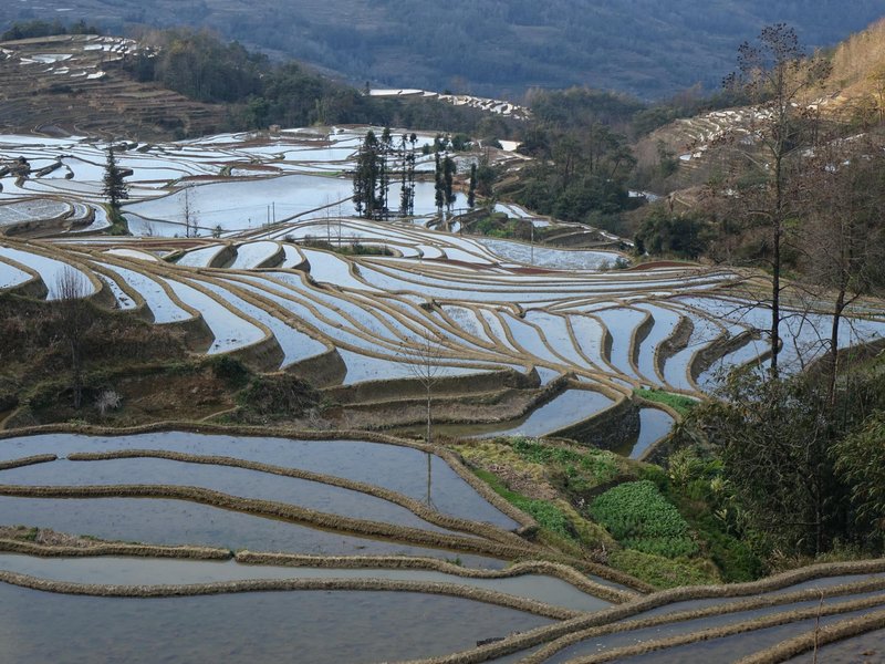 Hani Rice Terraces by Els Slots