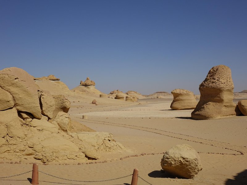 Wadi Al-Hitan by Els Slots