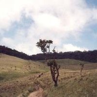 Central Highlands