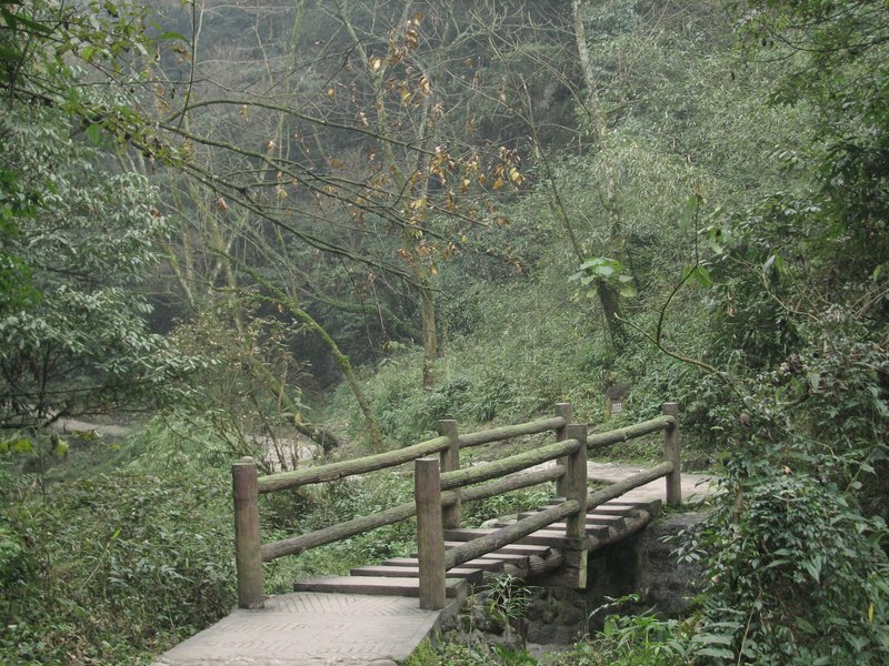 Sichuan Giant Panda Sanctuaries by Els Slots