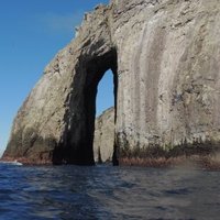 Malpelo