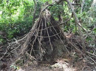 Mijikenda Kaya Forests by Els Slots