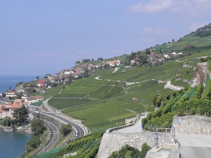 Lavaux, Vineyard Terraces by Els Slots