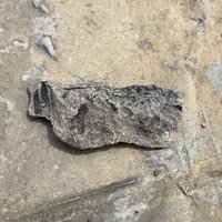 Joggins Fossil Cliffs