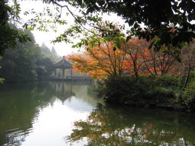 West Lake by Els Slots