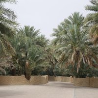 Al Ain