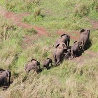 Garamba National Park