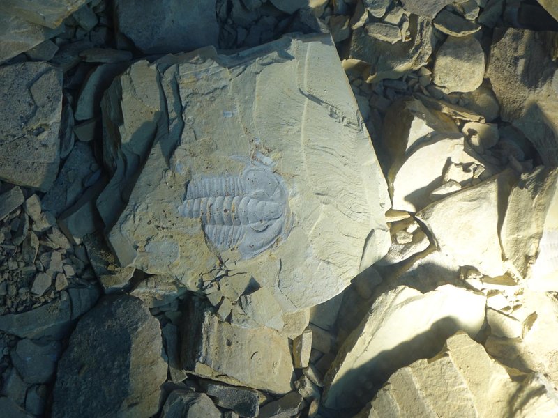 Chengjiang Fossil Site by Els Slots