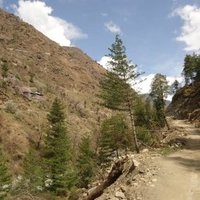 Great Himalayan National Park