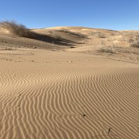 El Pinacate