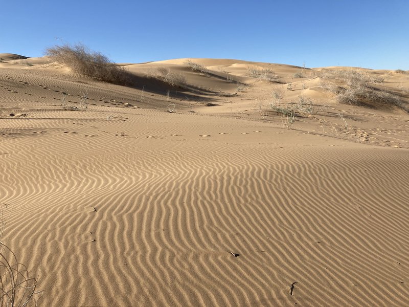 El Pinacate by Els Slots