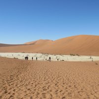 Namib Sand Sea by Els Slots