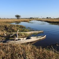 Okavango Delta