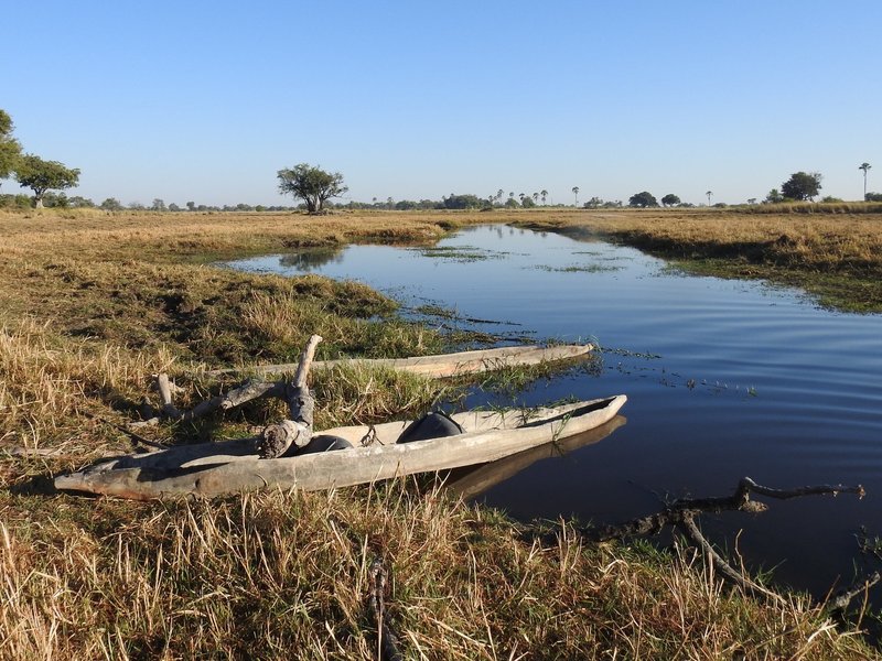 Okavango Delta by Els Slots