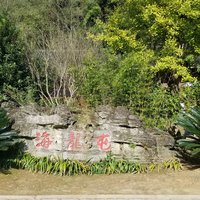 Tusi Sites