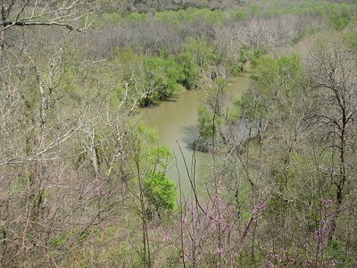 Mammoth Cave by Els Slots