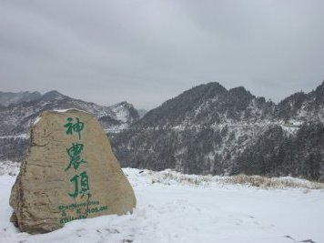 Hubei Shennongjia by Roman Bruehwiler