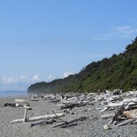 Olympic National Park