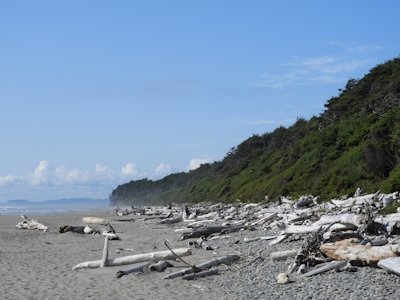 Olympic National Park by Roman Bruehwiler