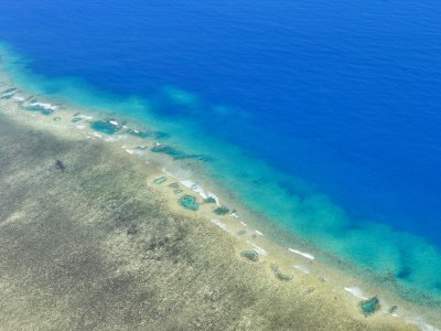 Great Barrier Reef by Clyde
