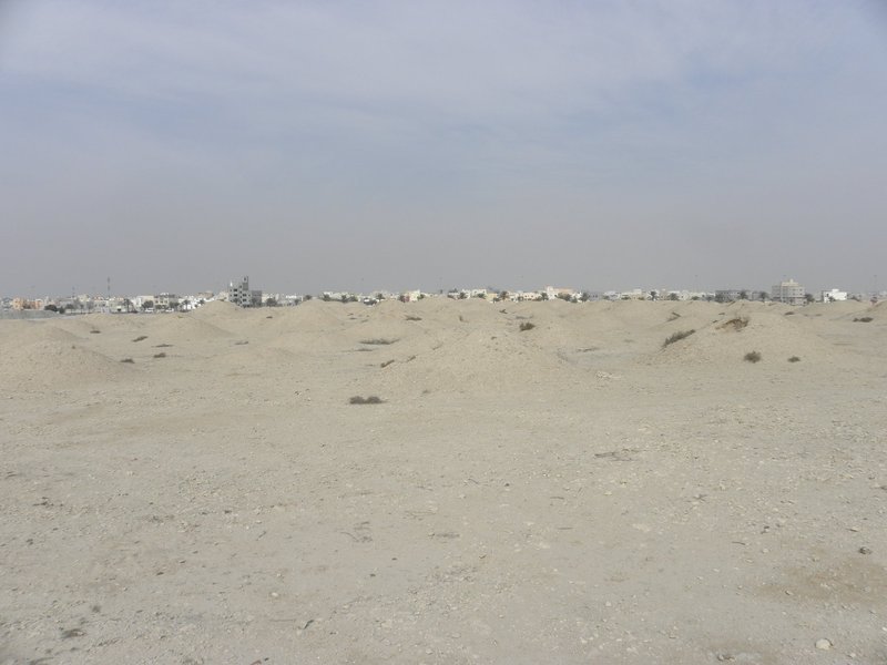 Dilmun Burial Mounds by Els Slots