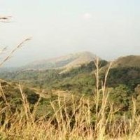 Mount Nimba
