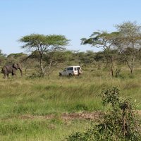 Serengeti by Els Slots