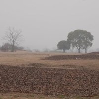 Liangzhu Archaeological Site