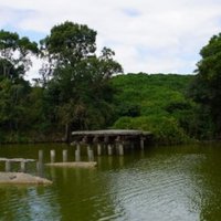 Mozu-Furuichi Kofun