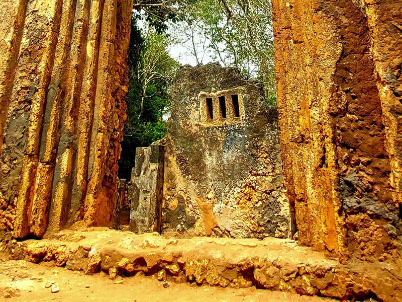 Gedi by Roman Bruehwiler