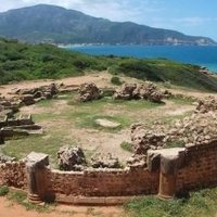 Tipasa