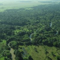Rio Platano Biosphere Reserve