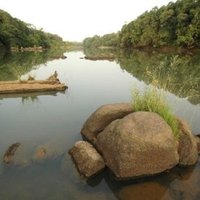 Comoé National Park