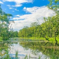Chitwan National Park