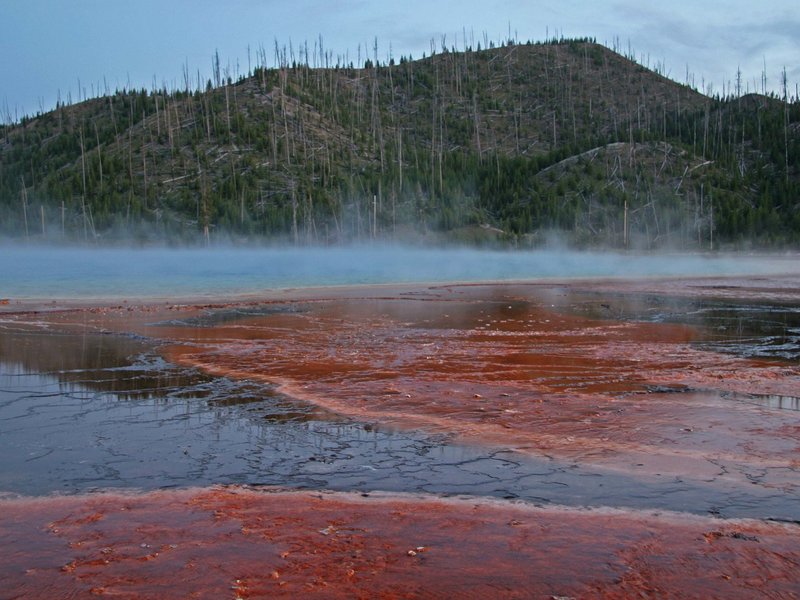 Yellowstone by Luis Filipe Gaspar
